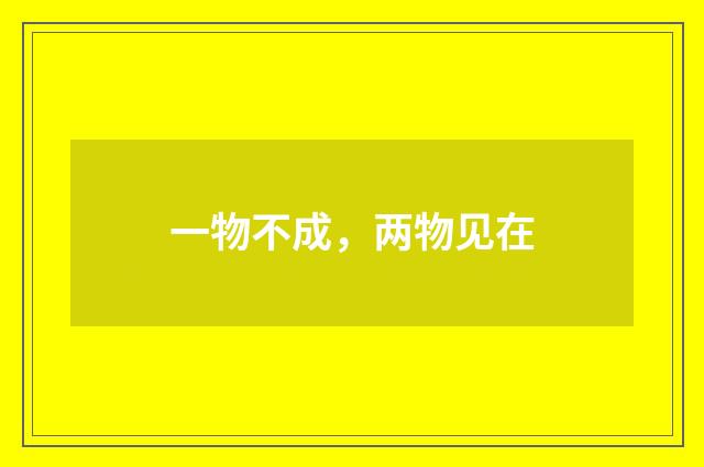 一物不成，两物见在