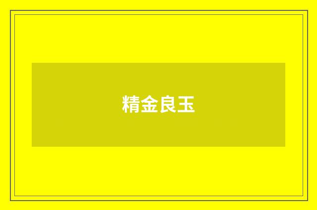 精金良玉