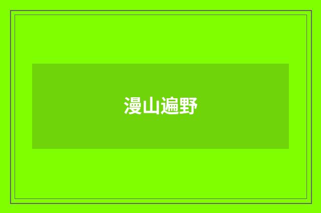 漫山遍野