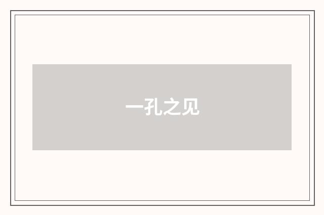一孔之见