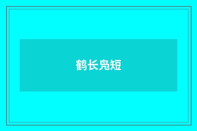 鹤长凫短