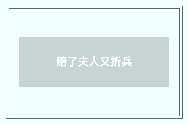 赔了夫人又折兵