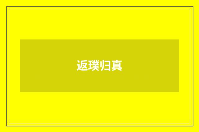 返璞归真