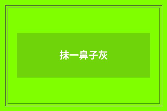 抹一鼻子灰