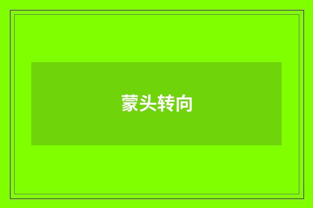 蒙头转向