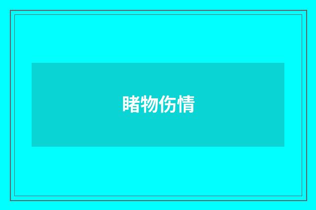 睹物伤情