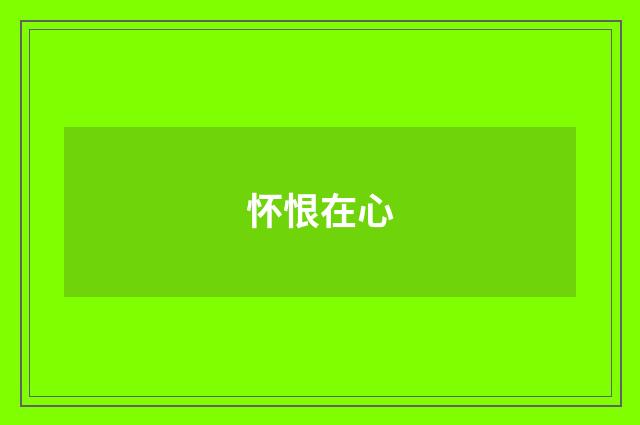 怀恨在心