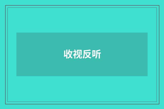 收视反听