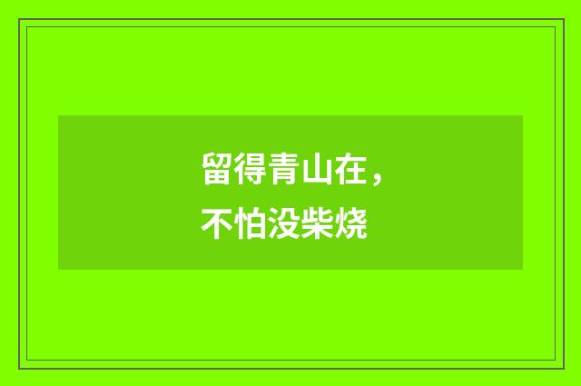 留得青山在，不怕没柴烧