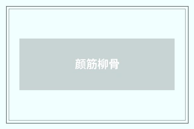 颜筋柳骨