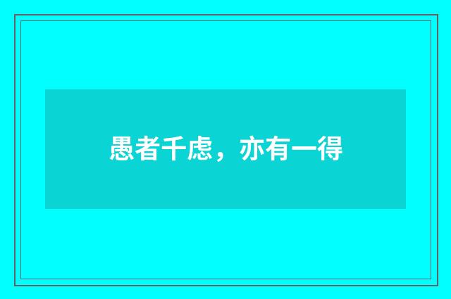 愚者千虑,亦有一得