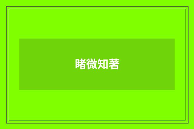 睹微知著