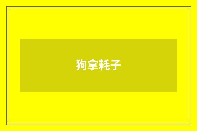 狗拿耗子