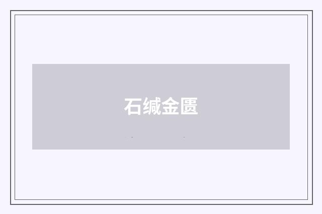 石缄金匮