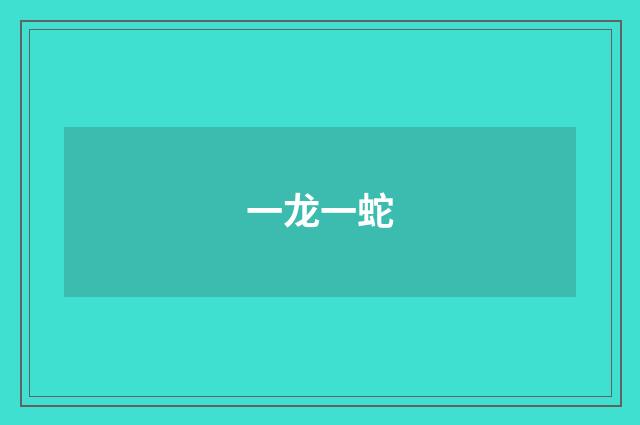 一龙一蛇