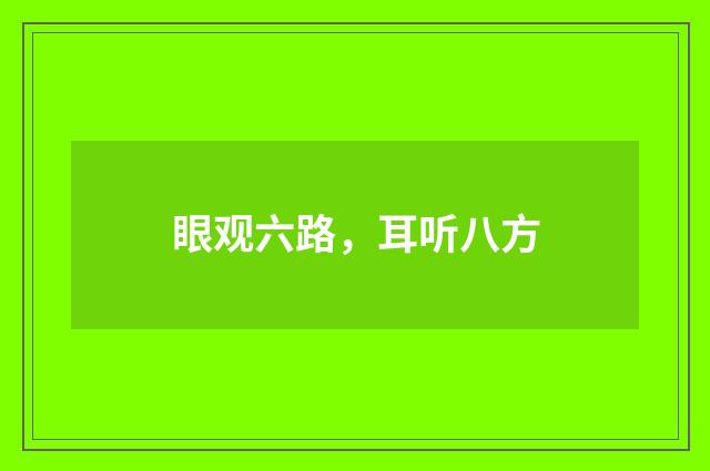 眼观六路，耳听八方