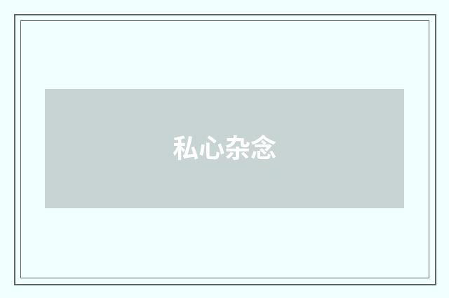私心杂念