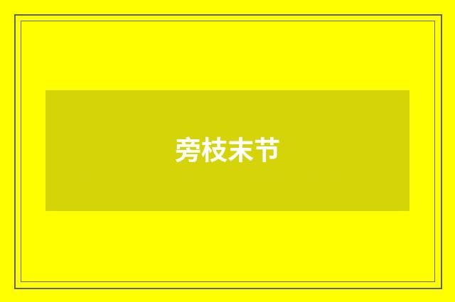 旁枝末节