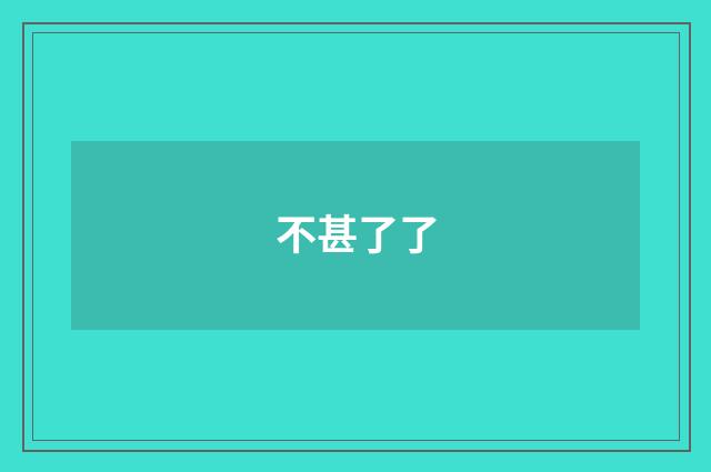不甚了了