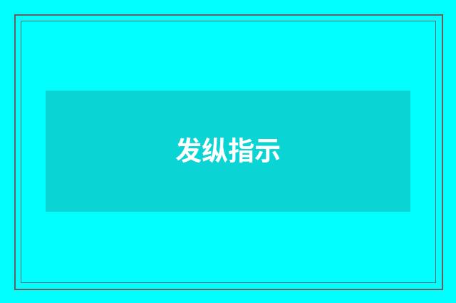 发纵指示