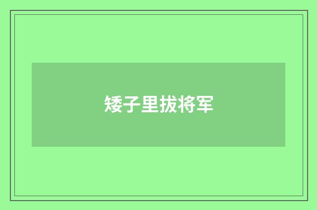 矮子里拔将军