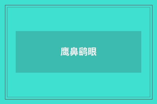 鹰鼻鹞眼