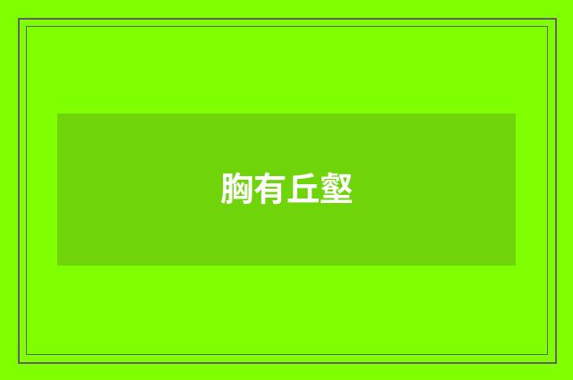 胸有丘壑