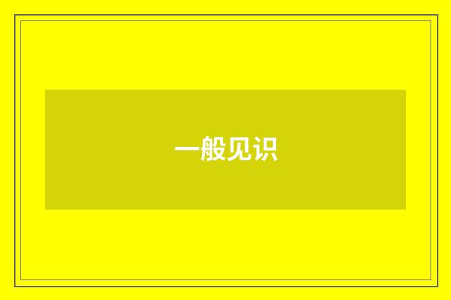 一般见识