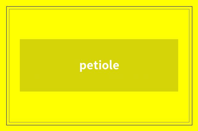 petiole