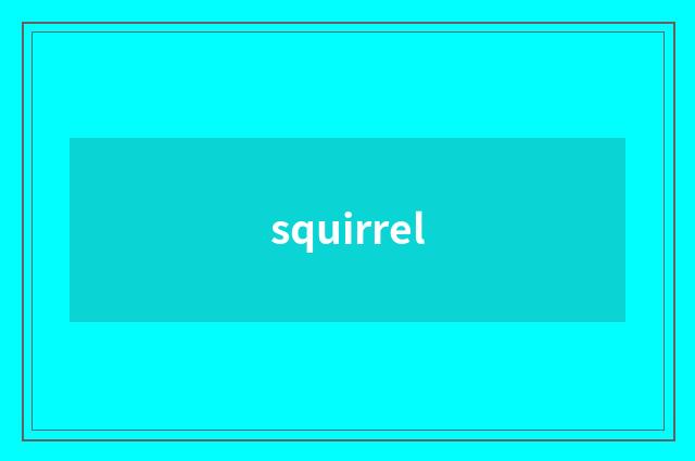 squirrel