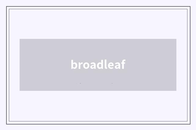 broadleaf