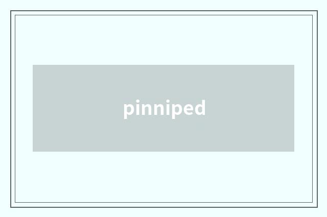 pinniped