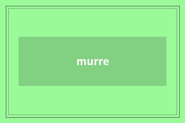 murre