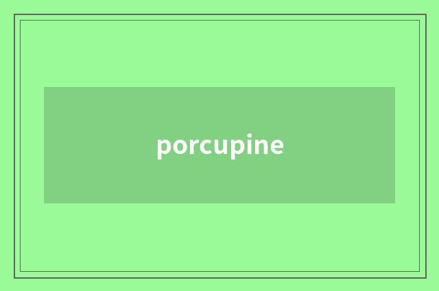 porcupine