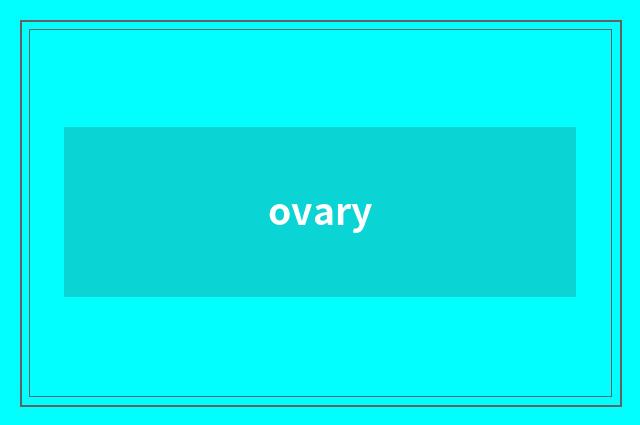 ovary