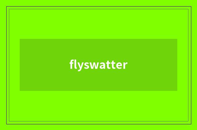 flyswatter