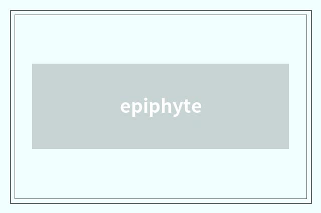 epiphyte