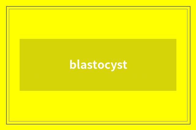 blastocyst