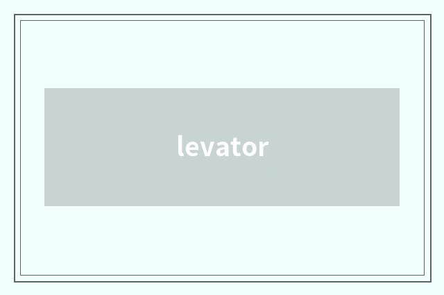 levator