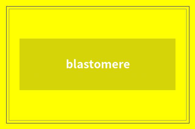 blastomere