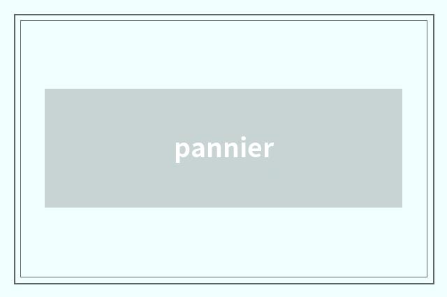 pannier