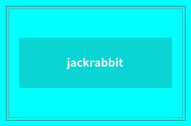 jackrabbit