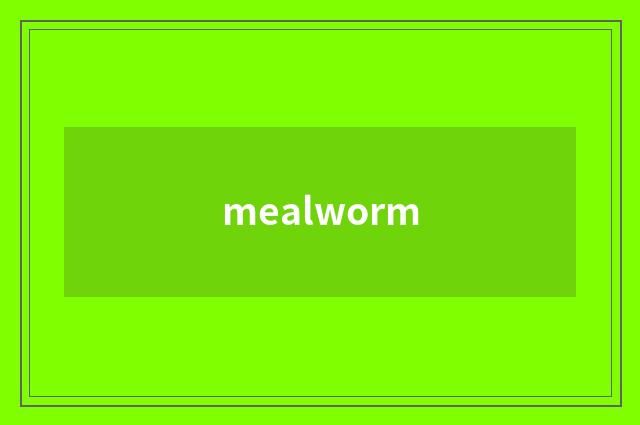 mealworm