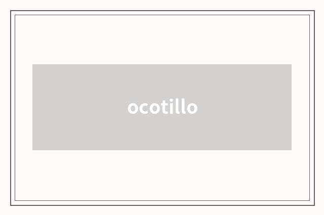 ocotillo