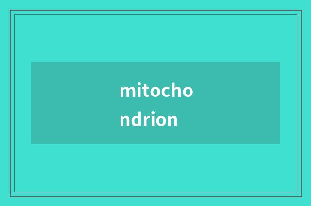 mitochondrion