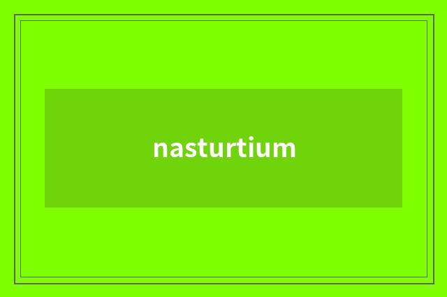 nasturtium