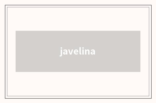 javelina