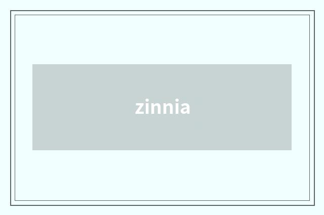 zinnia