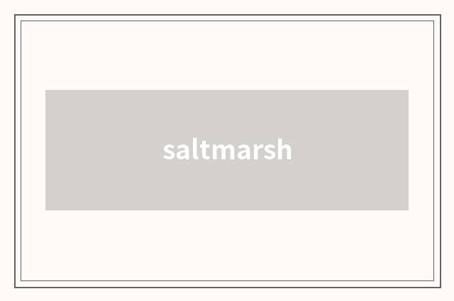 saltmarsh