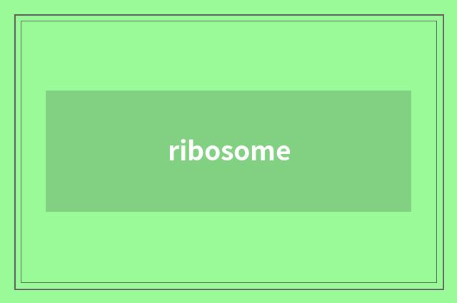 ribosome